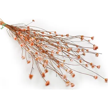 mech-mech.cz Sušená chrpa (Centaurea) - Růžová