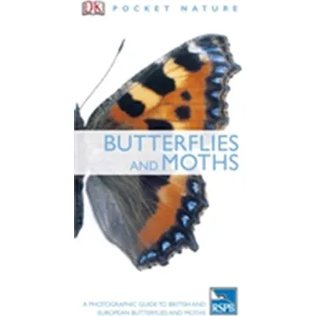 Butterflies and Moths - DK
