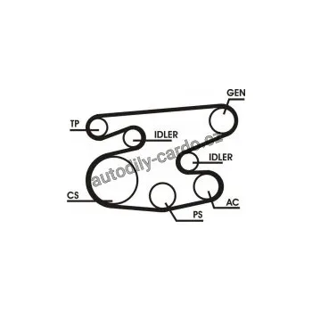 Rozvod motoru Sada drážkového řemene CONTINENTAL CTAM 6PK2215D1