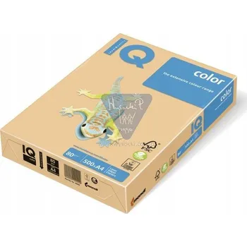 Barevný papír Kancelářský papír barevný A4 80g meruňkový IQ GO22