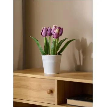 umělá květina Sinsay - Dekorativní rostlina v květináči – tulipány - fialová - 523EA-44X - 523EA-44X-ONE