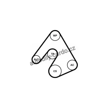 Rozvod motoru Sada drážkového řemene a vodní pumpy CONTINENTAL CTAM 6PK2490WP1