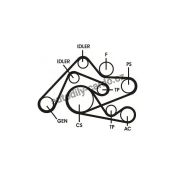 Rozvod motoru Sada drážkového řemene CONTINENTAL CTAM 6PK2404D2