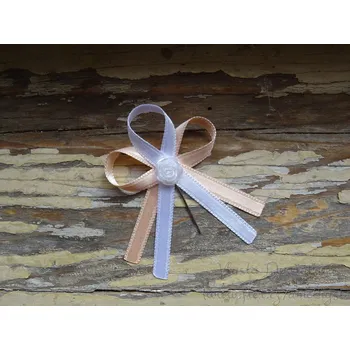 Svatební dekorace Vývazek atlasový meruňková / bílá