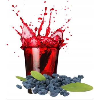 Šťáva z Kamčatské borůvky 100% 3l (lisovaná, přírodní NFC) Kamčatská borůvka