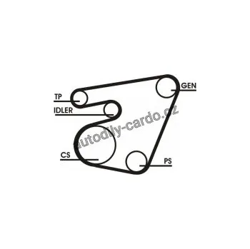 Rozvod motoru Sada drážkového řemene CONTINENTAL CTAM 6PK1715D1