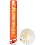 Kawasaki Team 2 12 ks