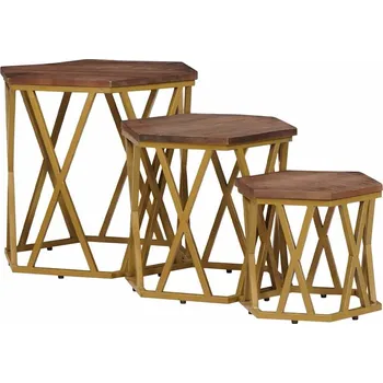 Konferenční stolek vidaXL Konferenční stolky Hnědá 55 x 55 x 50 cm Masivní mangové dřevo [4104646]