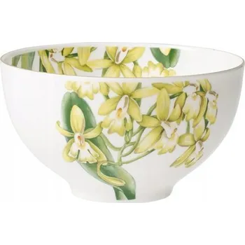 Miska Villeroy&Boch Amazonia, porcelánová, 400 ml