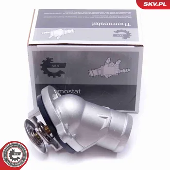 Těsnění motoru Termostat, chladivo SKV 20SKV156