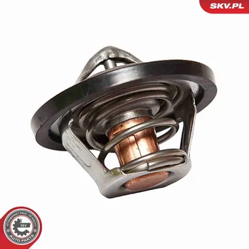 Těsnění motoru Termostat, chladivo SKV 20SKV015