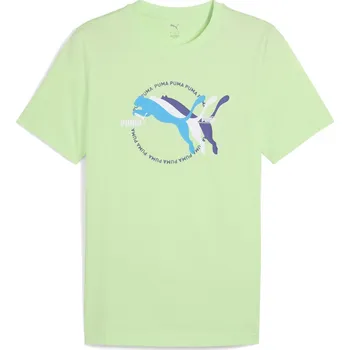 Pánské tričko pánské tričko PUMA - SPRING FERM - XL (Puma Regular Fit T-Shirt)