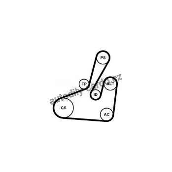 Rozvod motoru Sada drážkového řemene CONTINENTAL CTAM 6PK1710K2