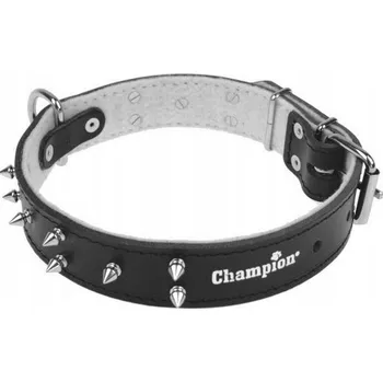 Obojek pro psa Kožený obojek pro psa ostnatý obojek Champion vel. M
