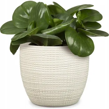 Květináč Keramický obal na květináč 21,2 cm, béžový