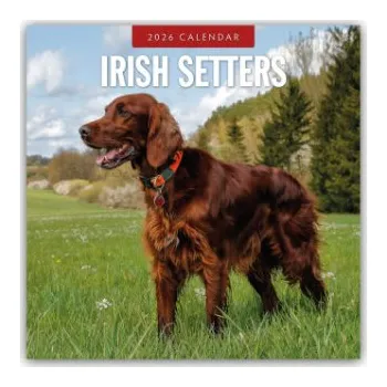 Diář Irish Setters - Irischer Setter 2026 - 16-Monatskalender (EN)
