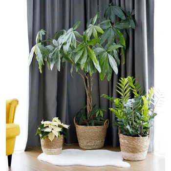 Květináč Obaly na květináče, set 3 ks, mořská tráva, hnědá, VALEL