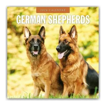 Diář German Shepherds - Deutscher Schäferhund 2026 - 16-Monatskalender (EN)