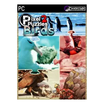 Počítačová hra ESD Pixel Puzzles 2 Birds