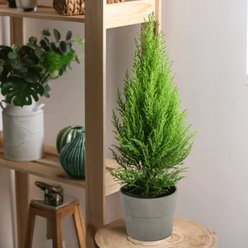 Květináč Květináč, plastový s kameninovým práškem, beton, AUSON TYP 1