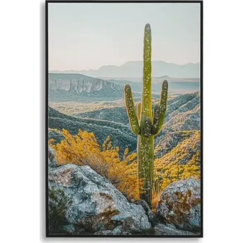 Obraz Obraz Cactus B 60x90 cm vícebarevný
