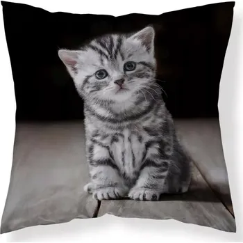 Povlak na dekorativní polštářek DETEXPOL Povlak na polštářek Koťátko micro Polyester, 40/40 cm