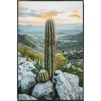 Obraz Obraz Cactus A 60x90 cm vícebarevný