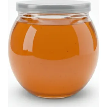 Sirup SIRUP MANGO 230g
