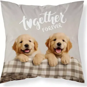 Povlak na dekorativní polštářek DETEXPOL Povlak na polštářek Pejsci micro Polyester, 40/40 cm