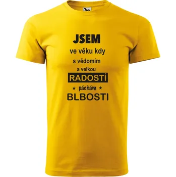 Pánské tričko s potiskem - Jsem ve věku kdy s vědomím a velkou radostí páchám blbosti Barva: ŽLUTÁ, Velikost: L