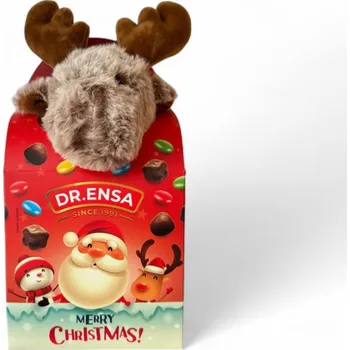 Sušené ovoce ENSA Vánoční box s plyšovou hračkou 110 g