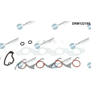 Auto-moto Kompletní sada těsnění, motor Dr.Motor Automotive DRM12219S