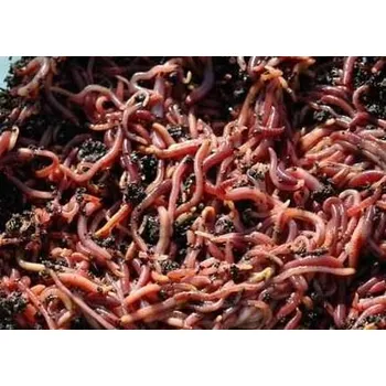 Umělá nástraha Dendrobeny žížaly 15 ks