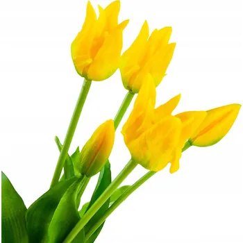 umělá květina TULIPÁNY Tulipán PAPOUŠÍ Kytice GUMOVANÉ 5KS real