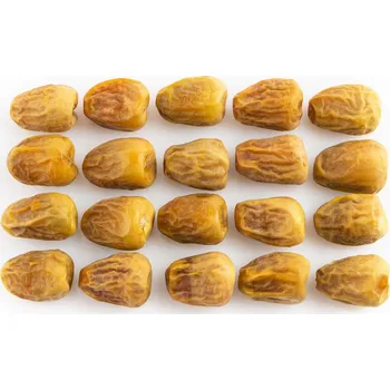 Sušená potravina Datle Sukkari 3kg (sklizeň 2025-2026) DLX-SUK1000-orig