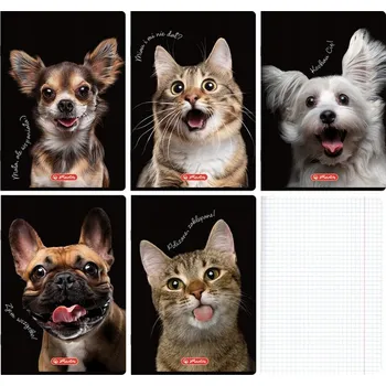 Sešit Sešit A4 čtvereček s okrajem 60k kočka pes Crazy Animal mix 1ks Herlitz