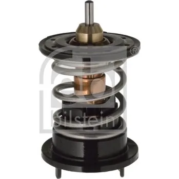 Motor automobilu Termostat, chladivo FEBI BILSTEIN 106284