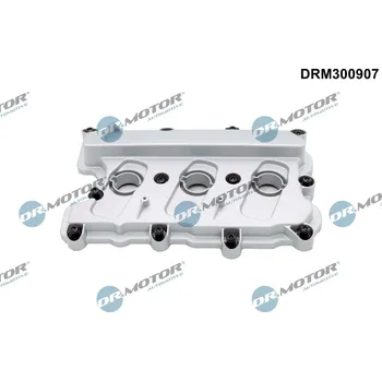 Kryt motoru Kryt hlavy válce Dr.Motor Automotive DRM300907
