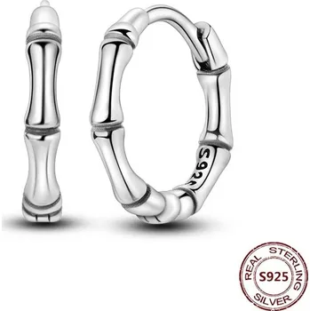 Náušnice Stříbrné kruhové náušnice se zirkonem | šperky 2 ks - JSE100