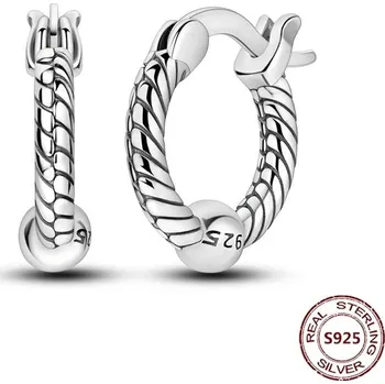 Náušnice Stříbrné kruhové náušnice se zirkonem | šperky 2 ks - JFE332