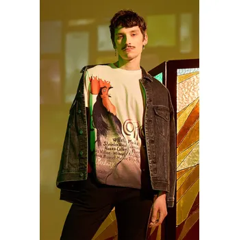 Pánské tričko Bavlněné tričko Medicine šedá barva RS25.TSM252 09A, vel. M