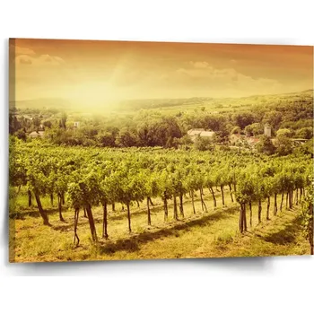 Obraz Sablio Obraz Vinice - 150x110 cm