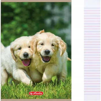 Sešit Sešit A5 32 listů ve 3 barevných linkách bez okraje 70 g/m2 Animals HERLITZ