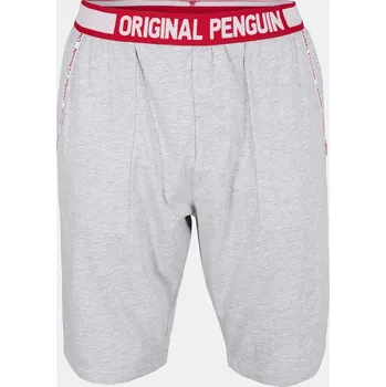 Pánské pyžamo Penguin Grey 1181180 Medium