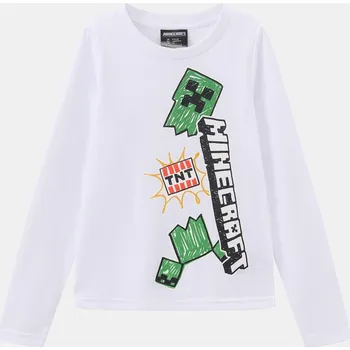 Tričko Character Minecraft 3594175 11-12 Yrs