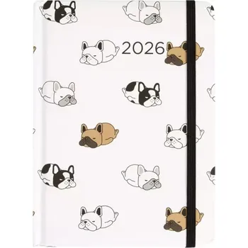 Diář ALBI KAPESNÍ DIÁŘ DENNÍ uzavíratelný na gumičku B6 2026