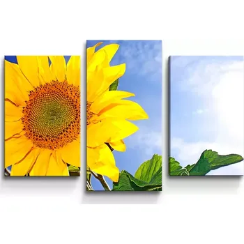 Obraz Sablio Obraz - 3-dílný Slunečnice 2 - 75x50 cm