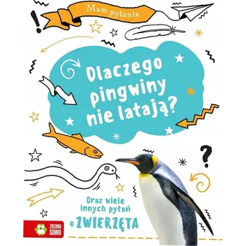 Umění Mam pytanie. Dlaczego pingwiny nie latają Brodacki Michał