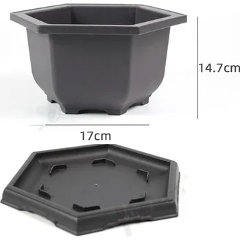 Květináč Plastový bonsai květináč s miskou | truhlík 1+1 ks - Šestiúhelník L , Květináč x Zásobník