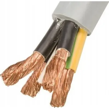elektrický kabel Řídicí kabel OLFLEX CLASSIC 110 4G25 1 m